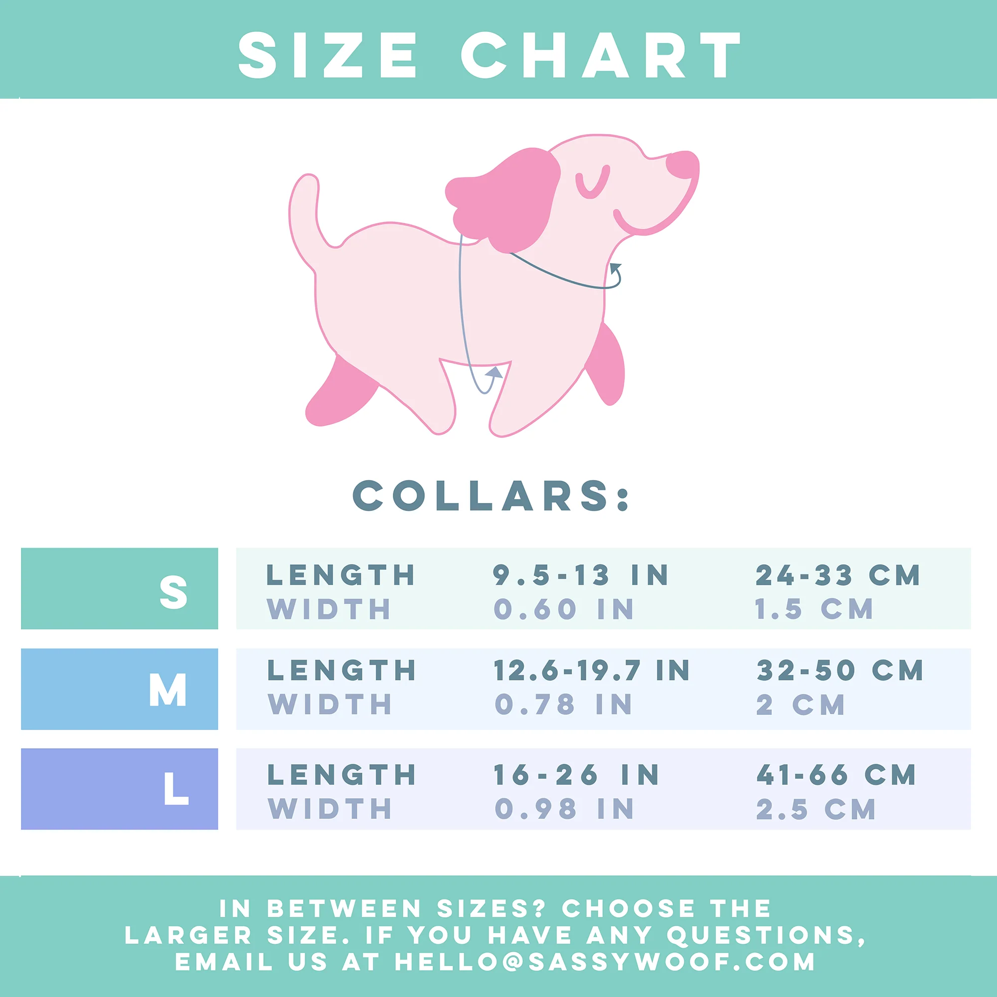 Cinnamoroll x Sassy Woof Dog Collar (Clouds) - Image 4