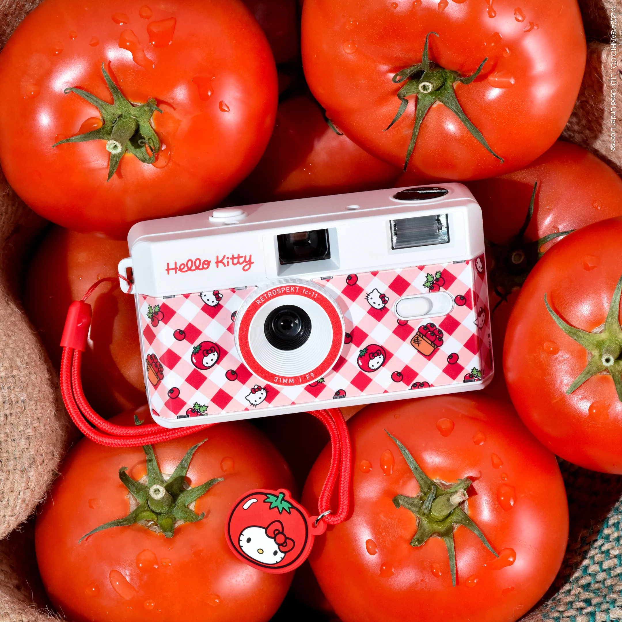 Hello Kitty Tomatoes 35mm Camera - Image 2